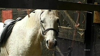 Dirty wild sex in a barn for naughty farm girls