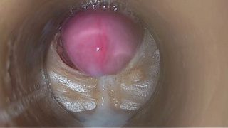 Precum in my pussy Camera In Vagina 4k