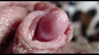 Extreme close up on my huge clit head pulsating