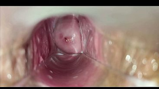 vaginal orgasm